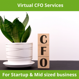 Virtual CFO services